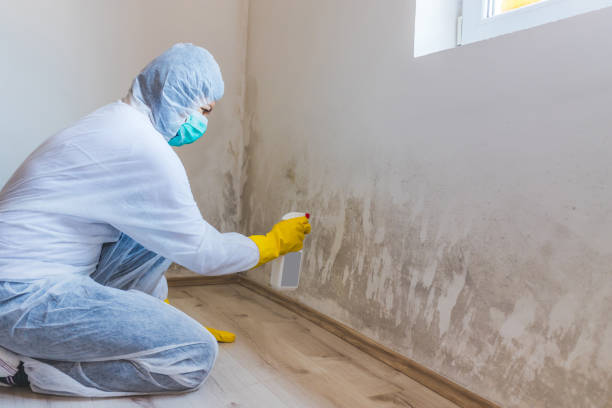 Commercial Mold Remediation assessment for commercial property in Lakewood